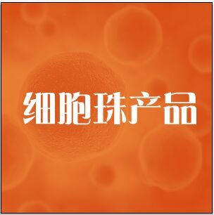 鼎国自产 CS0103 Calu-3 人肺腺癌细胞 现货供应7个工作日